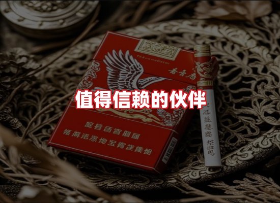 专业团队